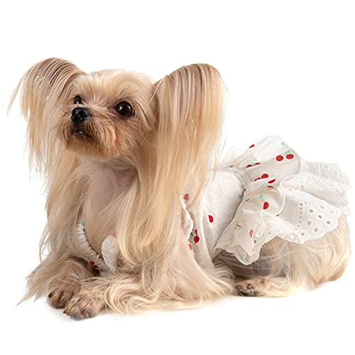 CuteBone Cherry Dog Dress Summer for Small Girl Cat Clothes