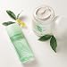Elizabeth Arden Green Tea Eau de parfum 100 ml