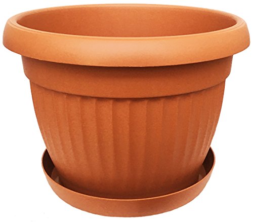 Preisvergleich Produktbild Wamat Blumentopf + Untersetzer Pflanzkübel Blumenkübel Pflanztopf Rundtopf Dona S -XXL (Terracotta, Durchmesser: 10 cm)
