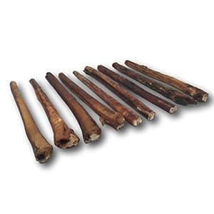 Top dog chews  thick 12 inch bully sticks 100 natural beef free range grass fed high protein supports dental health  easily digestible dog treat 10 pack   cucciolini doodles