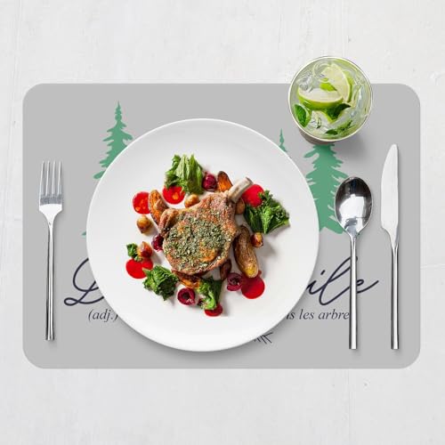 Sets de table gris en liège grand format 39,5x28,5 cm lot de 4 - 7