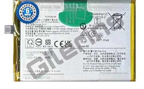 Image of Original B-U1 Battery for Vivo IQOO U5X Y10 Battery with 6 Month Warranty**** (R225)