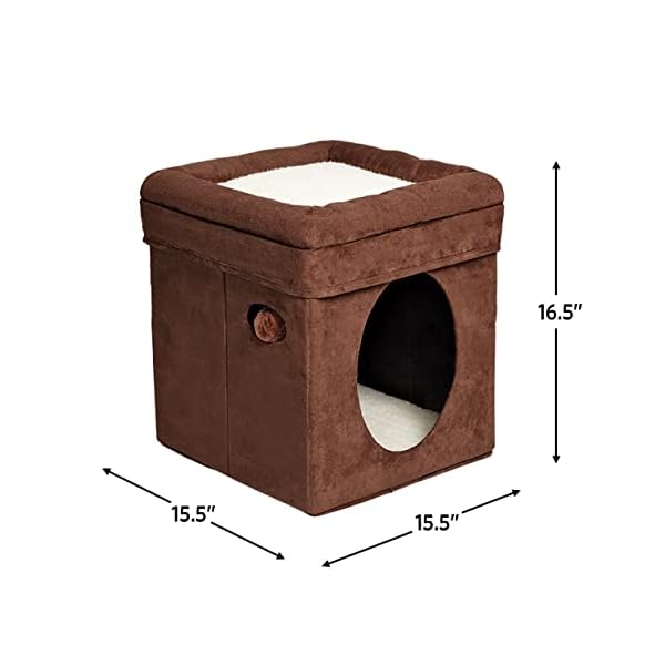 Midwest Curious Cat Cube, Katzenhaus/Katzenhaus – Bild 4