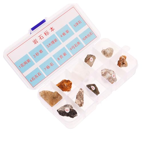 DINHEAROM Geology Classroom Decor: 10pcs Mini Mineral Stones Natural Rock Specimen Kit for Boys and Girls and Teachers