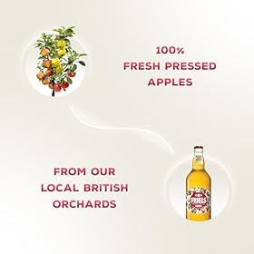 Buy Friels Vintage Cider 5.5% ABV – Award-Winning Vegan & Gluten-Free 20L Box with Dispenser – Friels