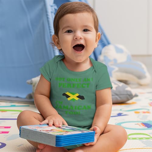 Not Only I'm Perfect I'm Jamaican Too Baby Bodysuit One Piece Oxford Gray 6 Months3