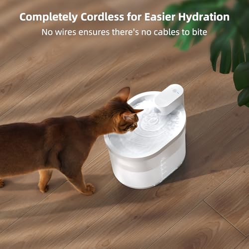 Fuente de Agua para Gatos uahpet inalámbrica con filtro miniatura 2