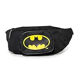 Buckle Down Batman Bag, Fanny Pack, Dc Comics, Canvas