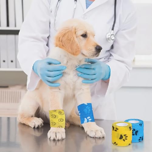 Lixiluxia 12 Rollen Selbstklebender Verband, Gipsbinden Selbstklebend, Elastische Binde, Selbsthaftende Bandage Hund Vet, Fixierbinde, Haftbandage, Pferd Bein Klebeverband, 5cm*4,5m per Rollen