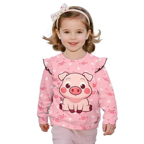 Girls Round Neck Long Sleeve Sweatshirt Breathable Cute Hoodless Pullover Everyday Casual Top for Kids Age 1-8 Years