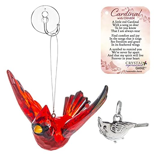 MMS Gifts Memorial Cardinal Ornament Gift Red Bird Hanging Crystal Window Décor, Charm, Story Card and Suction Cup, Sign of A Visitor from Heaven, 5
