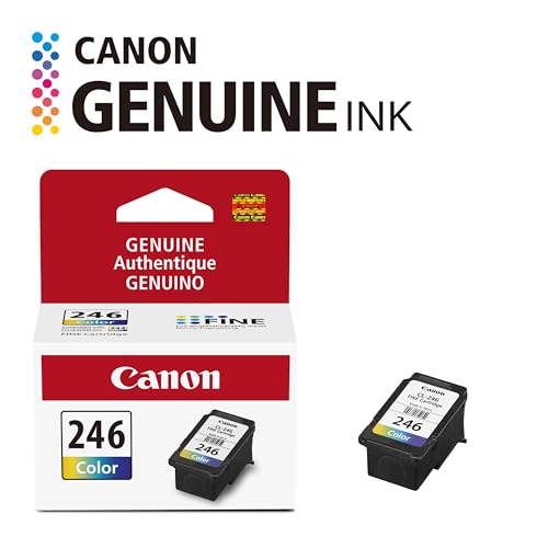 Image of Canon CL-246 Genuine Color Ink Cartridge, Compatible with iP2820, MG2420 /2924 /2920 /3020 /2522 /2525, MX492, TS3120 /302 /302a /202 /202a /4520 /3320 (Pack of 2)