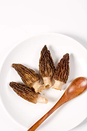 Vigorous Mountains Dried Morel Mushrooms thumb #5