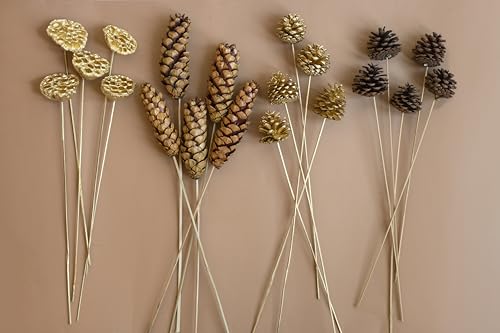 Image of Dried Flower Set for Home Decor | Pinecones, Lotus Pods & Natural Botanicals | Elegant Vase Decoration for Living Room & Table