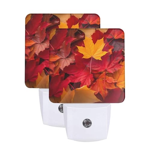 Image of Fall Maple Leaves Night Light Set of 2, Auto Sensor LED Dusk-to-Dawn Nightlights, Plug-in Sensor Lamp for Bedroom Bathroom Kitchen Hallway Stairs Decorative