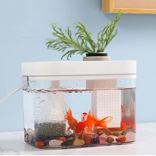 Cachpib Aquarium avec couvercle, petit aquarium transparent avec pompe à air USB, boîte d'élevage de poissons, aquariums écologiques pour salon, maison,...