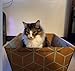 Cats Desire - 4 Trays, Disposable Litter Boxes for Cats - Litter Box, Fits Large Cats - Water Resistant Cat Litter Box - Made in USA, 19