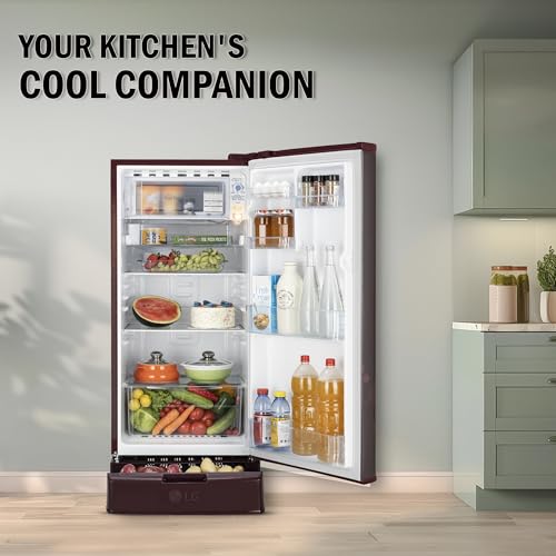 Image of LG 185 L, 4 Star, Direct-Cool, Smart Inverter Compressor, Single Door Refrigerator (GL-D199OSEY.ESEZPST, Scarlet Euphoria, Smart Connect, Solar Connect & Base stand with drawer)