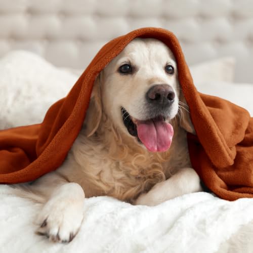 Image of BEDELITE Fleece Blanket Soft Plush Throw for Couch Terracotta 50 inchx60 inch