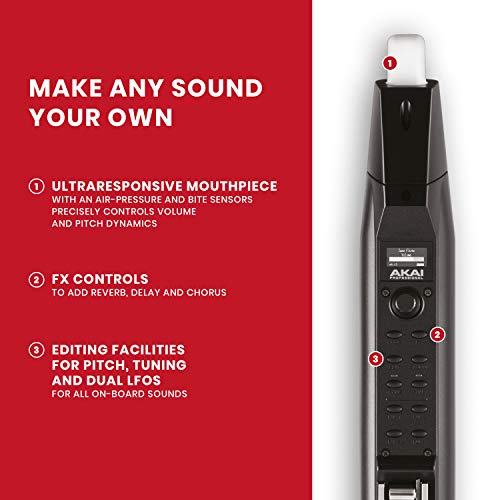 Image of Akai Professional EWI Solo - Electronic Wind Instrument With Built-in Speaker, Rechargeable Battery, 200 Sounds and USB MIDI Connectivity