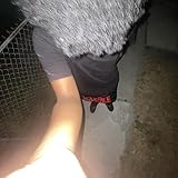 crxshout bib