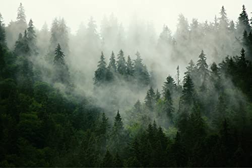 Muralo Photo Wallpaper Forest in Fog Wall Wallpaper Trees Green Nature Living Room Bedroom Dining Room Modern Wall Pictures XXL Landscape Panorama Wall Decoration (Non-Woven Fabric - Image 2