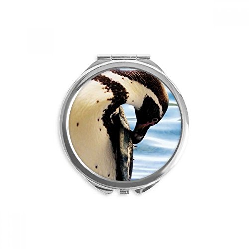 Miroir de maquillage pour vos retouches en voyage au motif océan nature antarctique