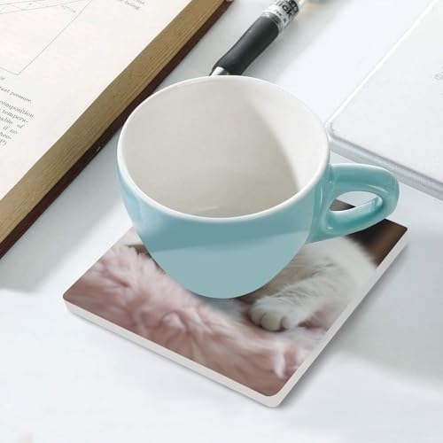 Dessous de verre en céramique absorbant chat anti-rayure table