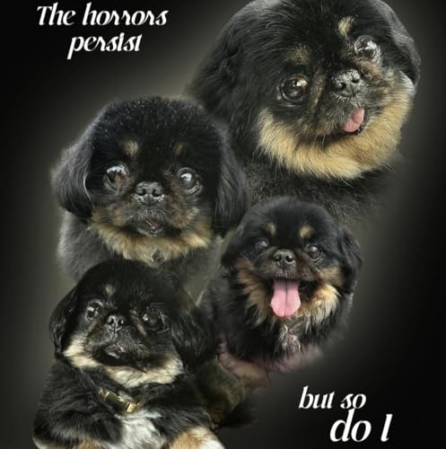 Ep 45 -- Ostensibly Meme, with Bella!