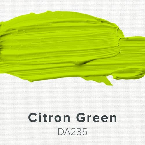 BIDON MULTI USAGES RAJA CITRON 5L