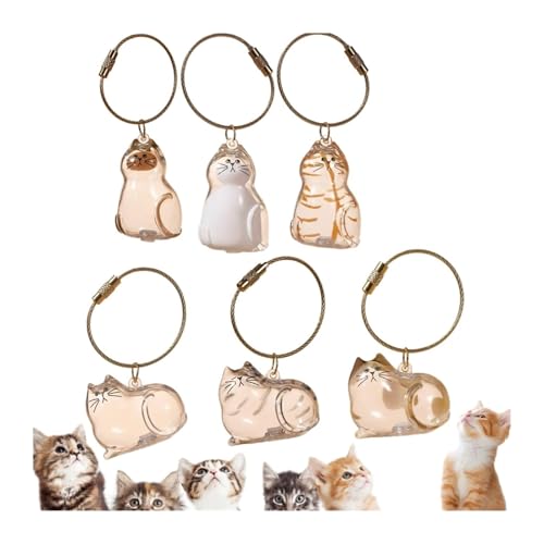 6 Pcs Llavero para Mascotas con Forma de Gato, Botella de Almacenamiento para Pelo de Gato, Colgante Recuerdo para Guardar Pelo de Mascotas, Transparente para Pelo y Bigotes, Regalo de Llavero Mascota