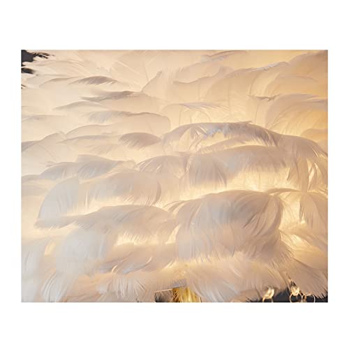 Lámpara de pie de plumas color blanco para sala de estar 4