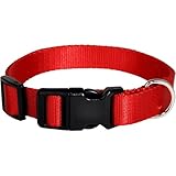 Replacement Collar Compatible with Pet Safe, Patpet, Sportdog, Garmin, Dogtra, Bousnic, Petspy, Invisible Fence Systems (Red)