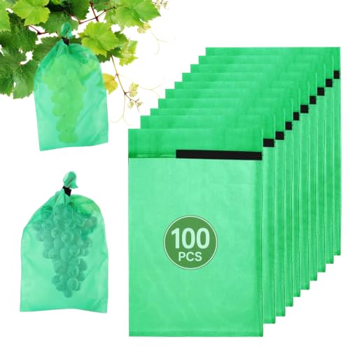 Sachet Protection Raisin 100 Pièces: Organza 20 x 30 cm