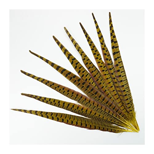 Plumas de faisán de 45cm para rellenar jarrones altos y adornos de carnaval 2