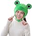 PRETYZOOM Sombrero de rana de peluche, para invierno, para fiestas o disfraces
