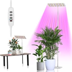 Lampe de culture avec support,...