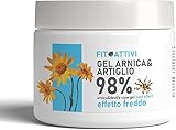 Arnika Gel Pferdebalsam 98% Erkältungswirkung 550 ml mit Teufelskralle, Vitamin E und Kampfer, Massagegel Ideal bei Gelenkschmerzen, 100% BIO Zutaten Made in Italy