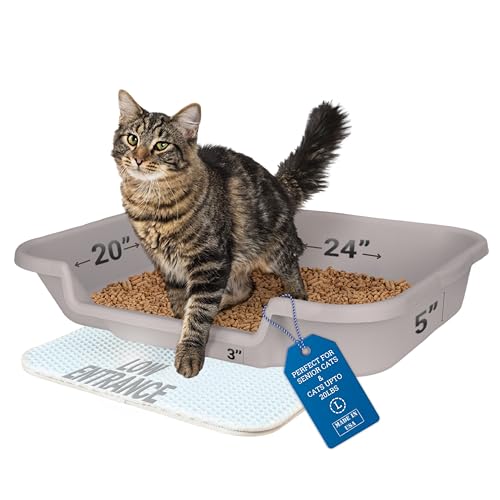 KittyGoHere Senior Cat Litter Box 1 Pack, Large Misty Gray Low Entrance ...