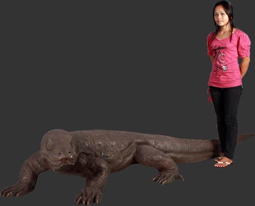 Amazon | アニマルビッグフィギュアシリーズ【ビッグ・コモドドラゴン