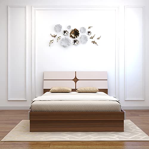Image of COUCH CULTURE Kruger Queen Size Hydraulic Storage Bed | Engineered Wood - Leon Teak Finish | Ultra-Lightweight Structure | Cozy Cot for Bedroom | Dual Tone Premium Design Bed |1 Year Warranty