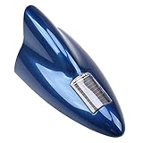 Riloer
