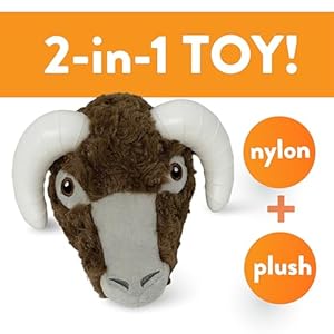 Spunky-pup-Knucklehead-Durable-Dog-Toy-2-in-1-Plush-Chew-Toy-for-Aggressive-Chewers-Chicken-Flavored-Dental-Chew-Durable-Double-Stitched-Squeaker-Ram - Cucciolini Doodles Spunky-pup-Knucklehead-Durable-Dog-Toy-2-in-1-Plush-Chew-Toy-for-Aggressive-Chewers-Chicken-Flavored-Dental-Chew-Durable-Double-Stitched-Squeaker-Ram