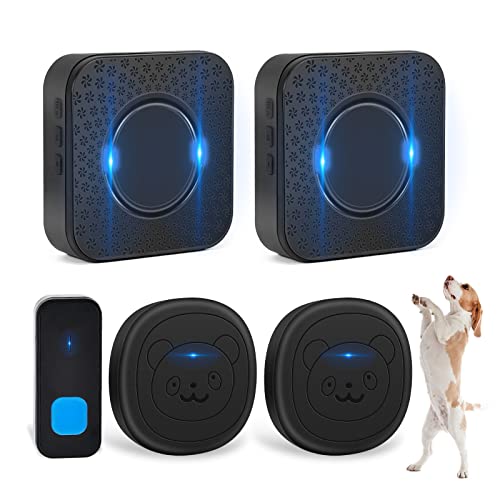 Top 10 Smart Doorbell For Dogs of 2022 Katynel