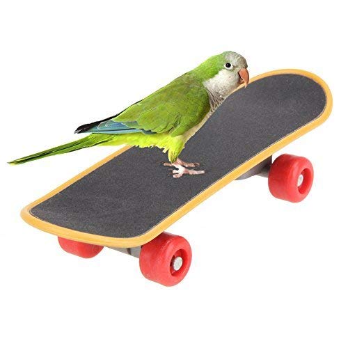 Bird Mini Skateboard - Patineta de entrenamiento reutilizable de plástico para patineta
