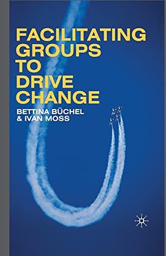 Facilitating Groups to Drive Change view 2