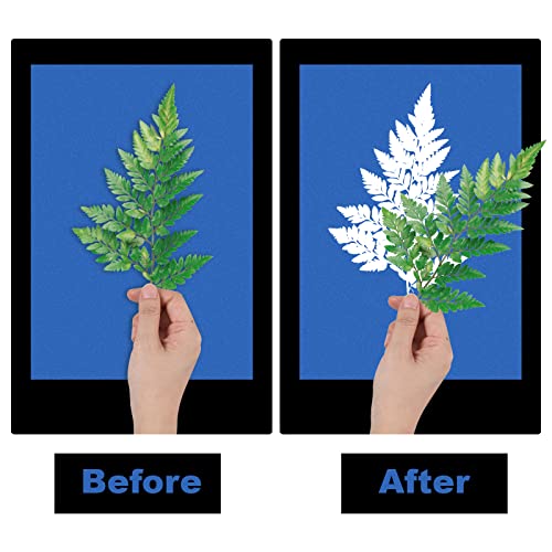 LUTER 32 Pezzi Carta Cianotipica, Alta Sensibilità...