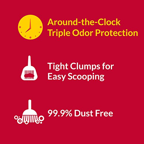 Purina Tidy Cats Clumping Cat Litter, 24/7 Performance Multi Cat Litter - 40 lb. Bag Purina Tidy Cats Clumping Cat Litter, 24/7 Performance Multi Cat Litter - 40 lb. Bag