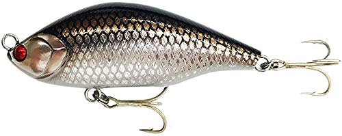 Rapala(ラパラ) ペンシルベイト ノースクラフト エアーオグル SLM スラローム 8.5cm 28g アカメ(キヌリ) KNAKM AOG85SLM-KNAKM ルアー