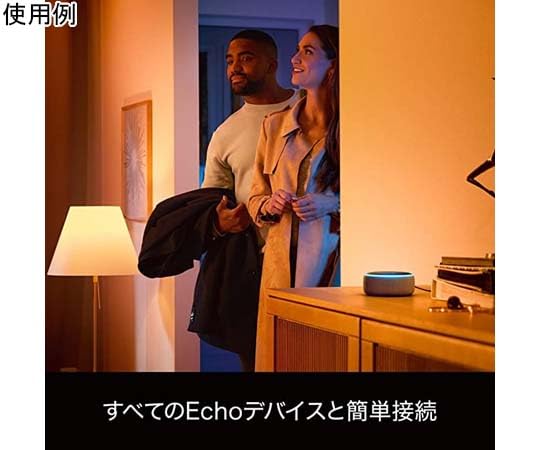 Amazon.co.jp : PHILIPS Philips Hue ホワイトグラデーション